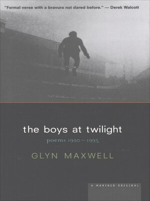 cover image of The Boys At Twilight